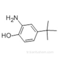 2 - Amino - 4 - tert - bütilfenol CAS 1199 - 46 - 8